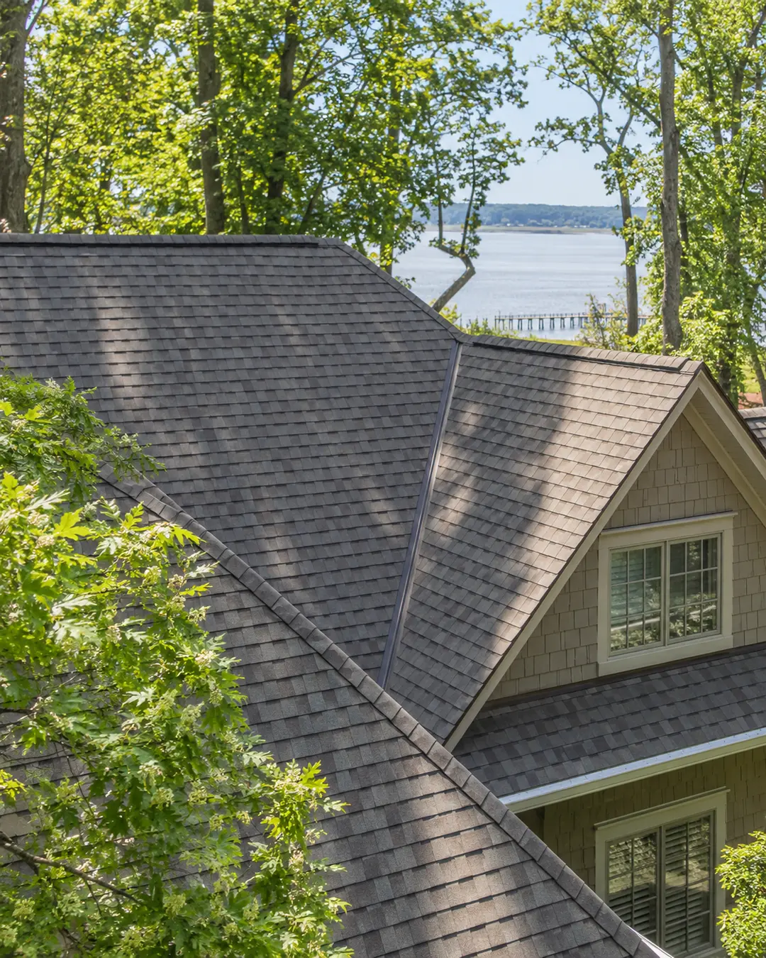 Roof and surrounding trees at a home in Yorktown, Virginia