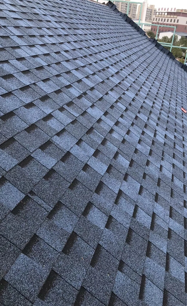 Shingle Condition Tells You More Than Color Alone
